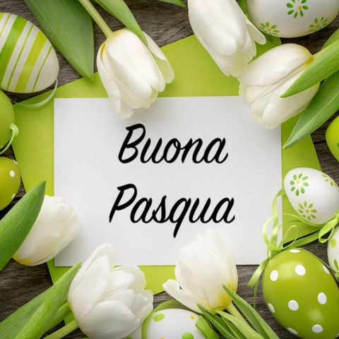 auguri-di-buona-pasqua-fill-480x480.jpeg