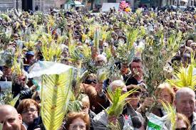 benedizione palme