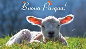 bpasqua32