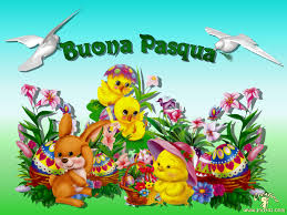 bpasqua49