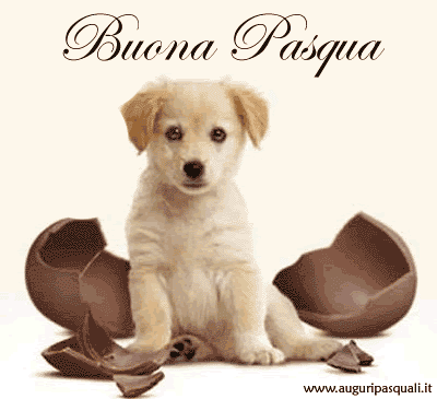 buona-pasqua.gif