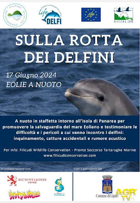 sulla-rotta-dei-delfini-locandina-evento.jpg